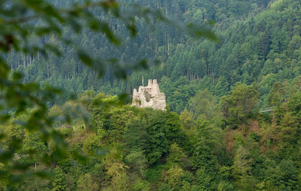 Hotel Winterhaldenhof Schenkenzell Exteriör bild